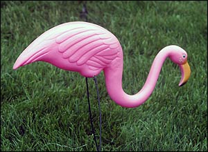 flamingo00.jpg