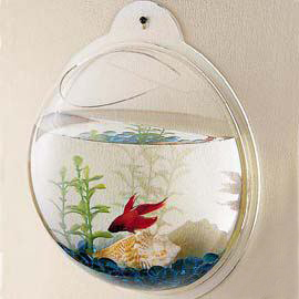 fishbowllg.jpg