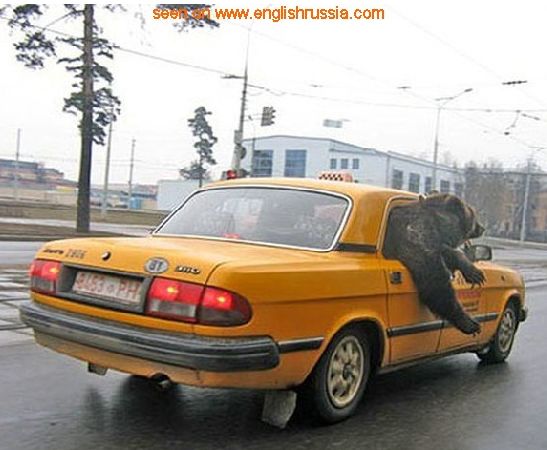 Russian Taxi Service пїЅ BagOfNothing