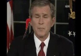 bushrobot.jpg