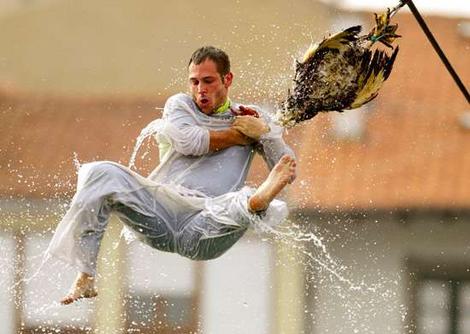 goose.jpeg