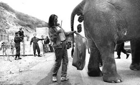 elephant.jpeg
