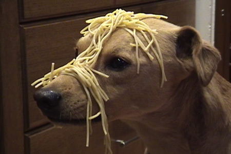 noodles.jpeg