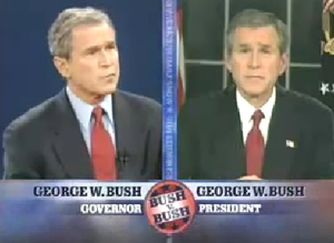 bushbush.jpg