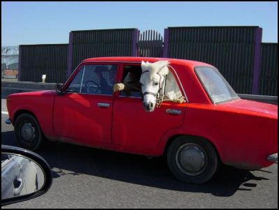 carhousemph.jpg