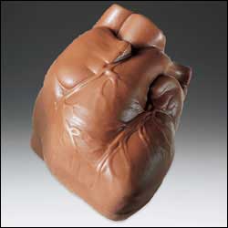 heart.jpg