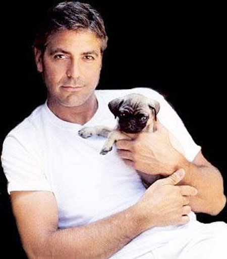 georgeclooney.jpg