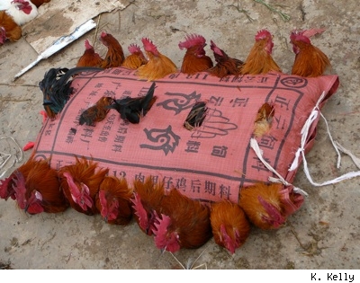 china.jpeg