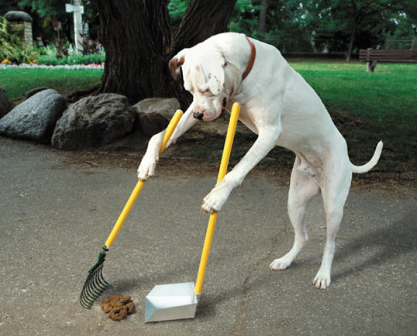 dogscooppoop2.jpg