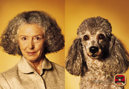 looklikedog1.jpeg