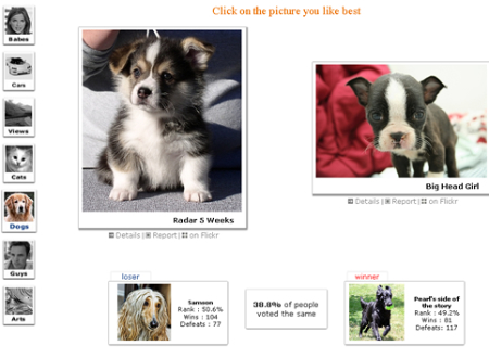 flickrcompatdasf2.jpg