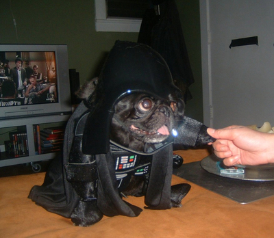 pugvaiders.jpeg
