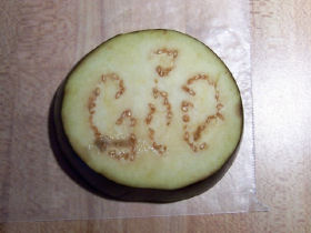 081207-eggplant-god-280.jpeg