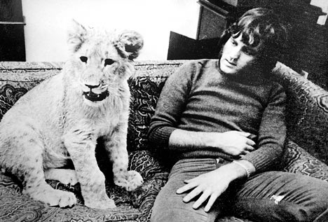 lionsettee_468Ã—317.jpeg