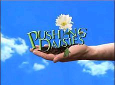 pushingdaisiesafas.jpg