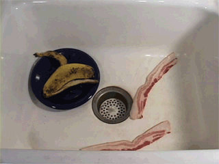 animatedbacon132.gif