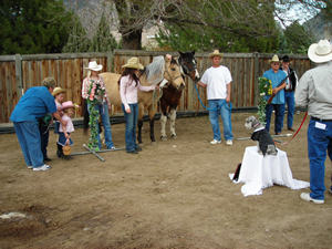 equine5dasfasd.jpg