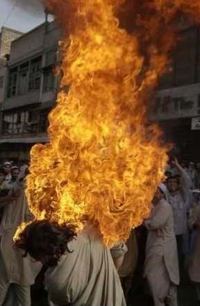 fireflagterr3.jpg