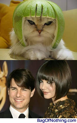 katiekathem.jpg