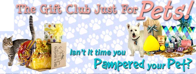 gift-pets3.jpg