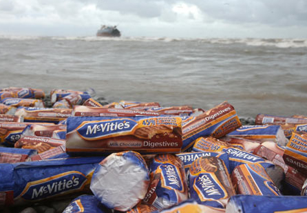biscuitawashashore.jpg