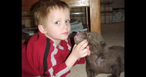 02_cb_sp_baby-brutus-with-baby