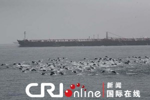 xin_5920406141120000159014