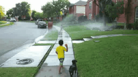 gif20160630221802487